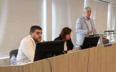 Цените в малката кошница през октомври: Силни разлики в регионите, при пилето и боба най-големи